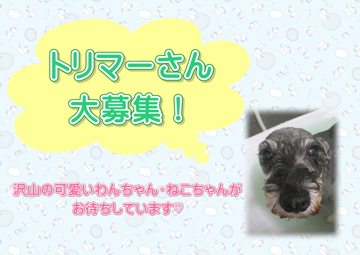 トリマーさん募集中!