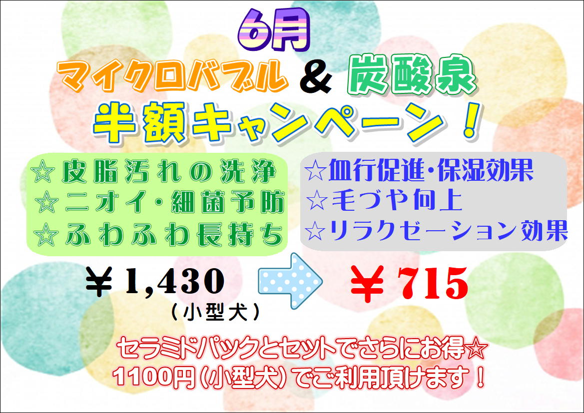 6月★マイクロバブル&炭酸泉半額キャンペーン