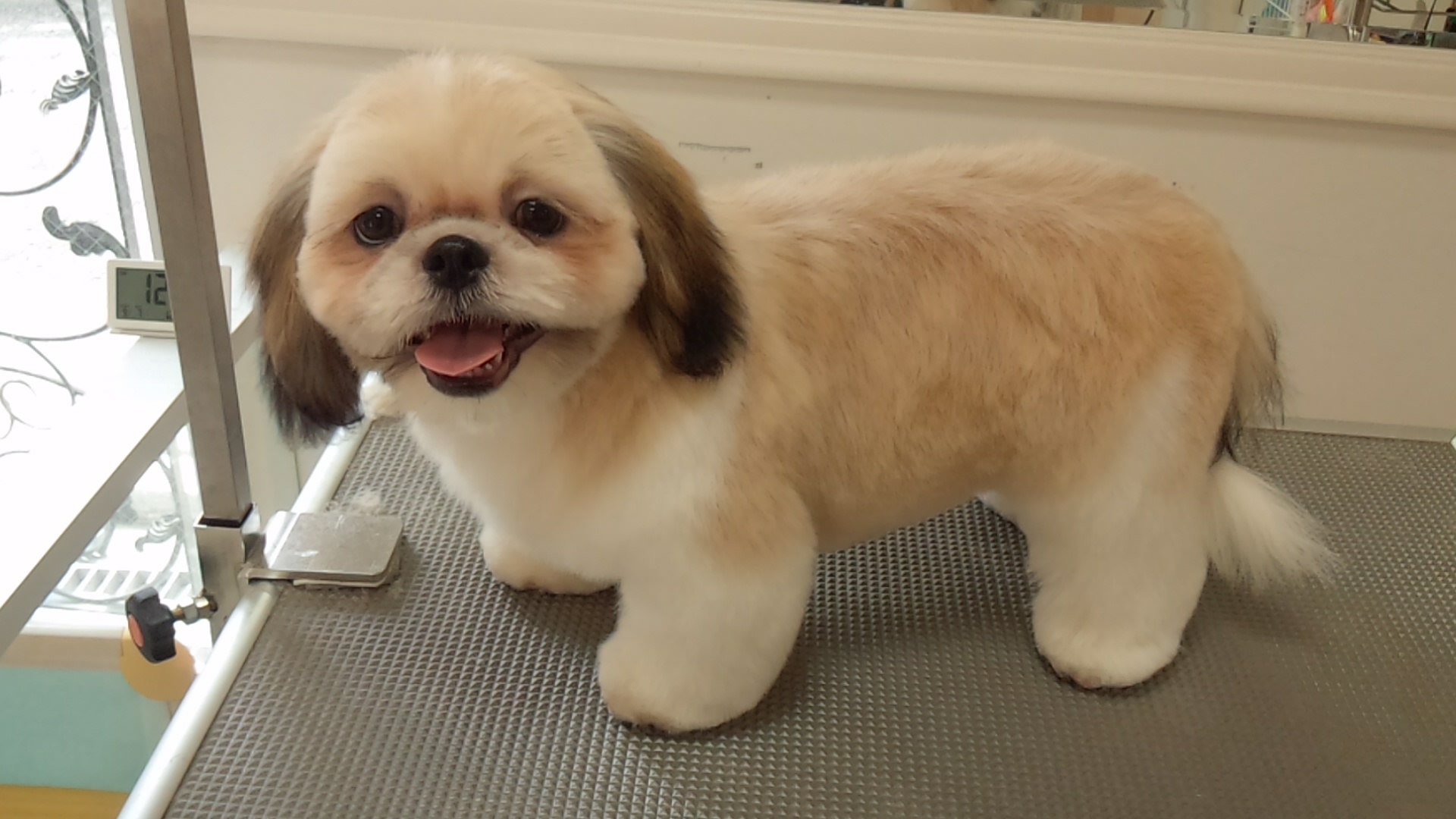 全体的にぬいぐるみのようなもこもこの状態を作りました
