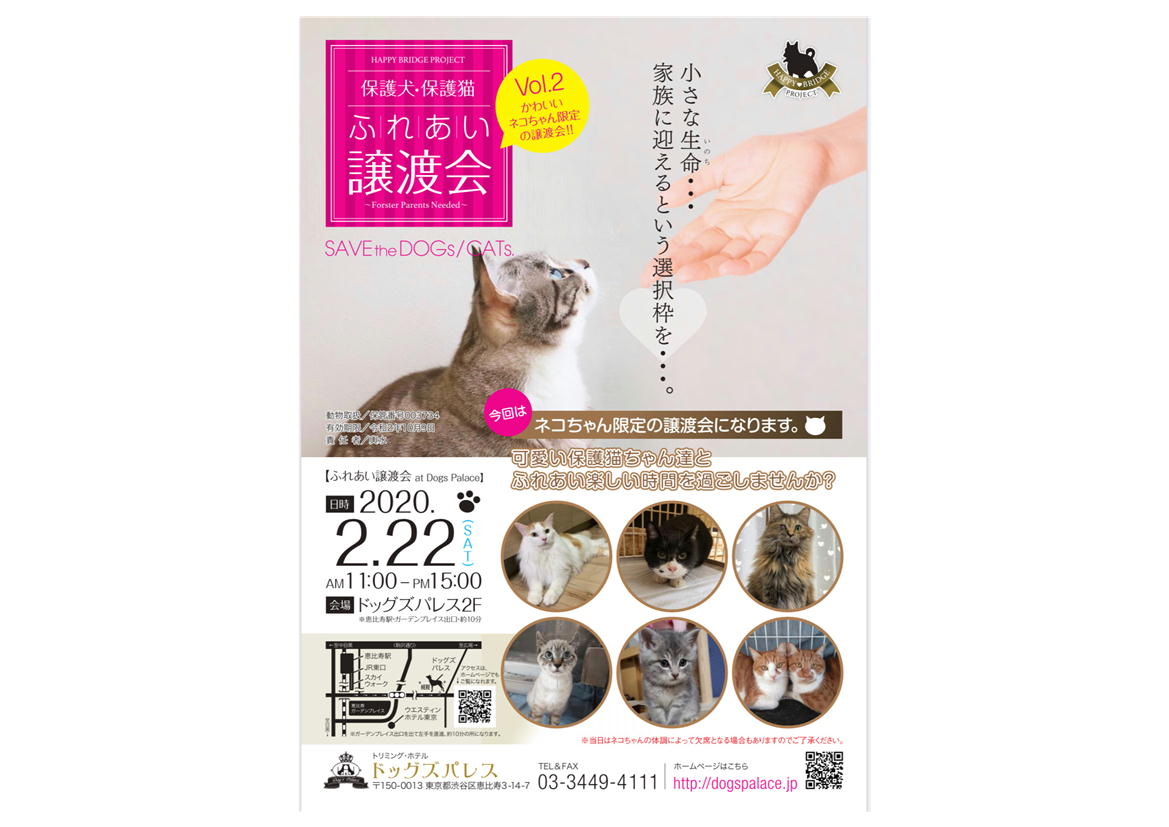 譲渡会開催のお知らせ
