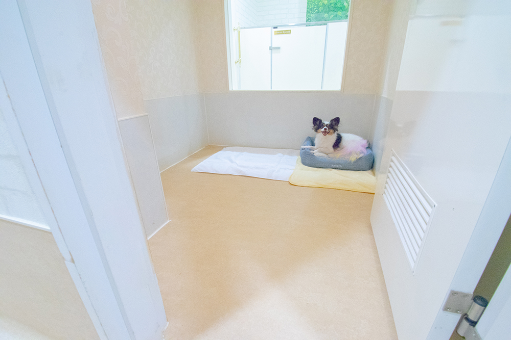 PRINCE(プリンス)ルーム 1.3畳
